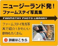 �j���[�W�[�����h���I�t�@�[���X�e�C�ʐ^�W�@�t�@�[���X�e�C����ʐ^�ŏЉ�I