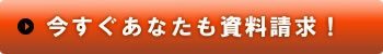�p���t���b�g