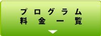 �v���O���������ꗗ