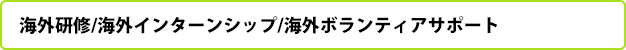 団体旅行/修学旅行サポート