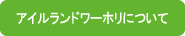 �A�C�������h���[�L���O�z���f�[