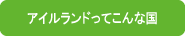 �A�C�������h���[�L���O�z���f�[
