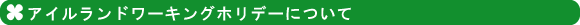 �A�C�������h���[�L���O�z���f�[