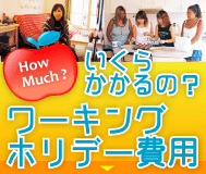 �����炩����́H���[�L���O�z���f�[��p
