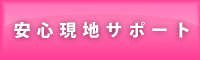 ���S���n�T�|�[�g
