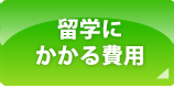 ���w�ɂ������p