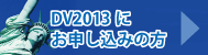 DV2013�ɂ��\�����݂̕�