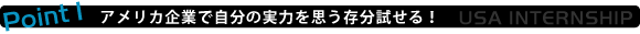 ポイント