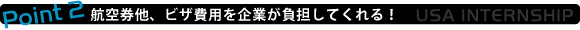 ポイント