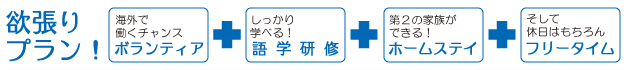 夏季限定!クルーズ船で働く体験inカナダ