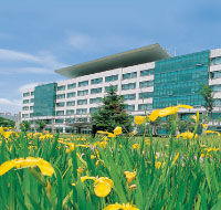 韓国留学