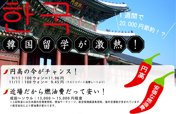 いま、韓国留学が激アツ!