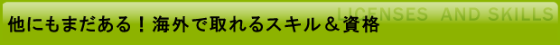 その他