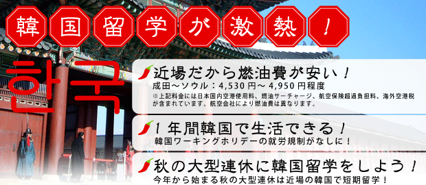 いま、韓国留学が激アツ!