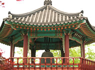 いま、韓国留学が激アツ!