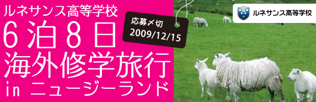 国際ボランティアに参加しよう!