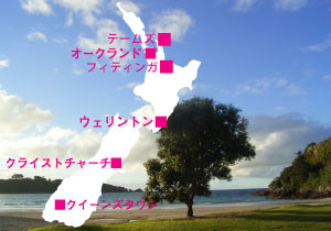 セミナー