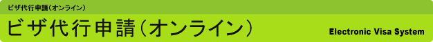 ビザ代行申請(オンライン)