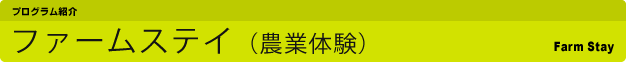 ファームステイ(農業体験)