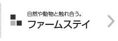 ホームステイの魅力って？