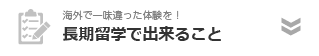 長期留学でできること