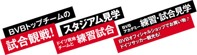 ドルトムントサッカー短期留学2024のツアー内容バナー