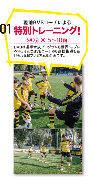 現地BVBコーチによる特別トレーニング!90分 × 5～10回