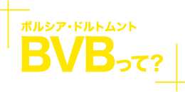 BVBって？