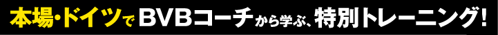 本場・ドイツでBVBコーチから学ぶ、特別トレーニング！