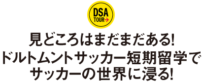 見どころはまだまだある！ドルトムントサッカー短期留学でサッカーの世界に浸る！