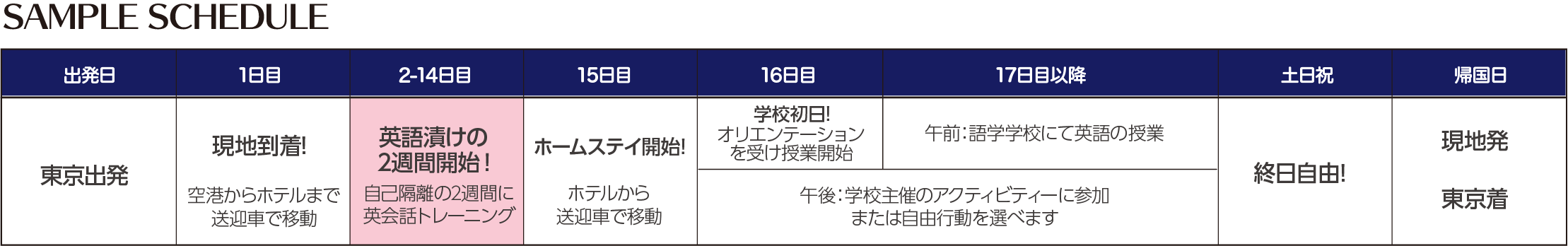 サンプルスケジュール