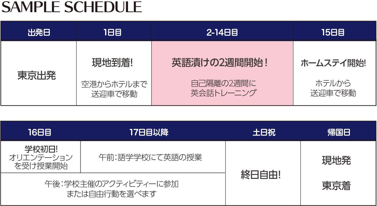 サンプルスケジュール