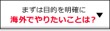 海外でやりたいことは？