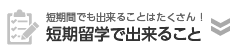 短期留学でできること