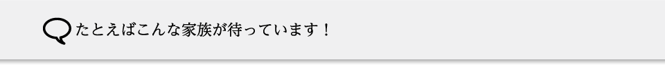 たとえばこんなスペシャルな体験ができます！