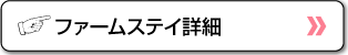 英会話教師宅ホームステイ