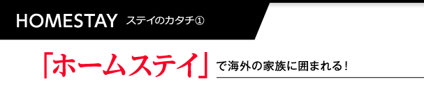 ホームステイで海外の家族に囲まれる！