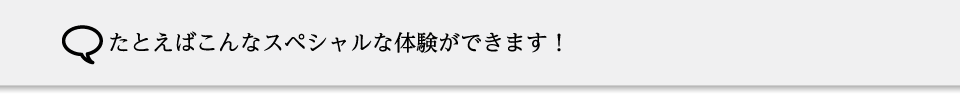 たとえばこんなスペシャルな体験ができます！