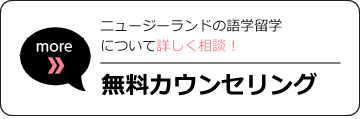 正規留学の学校について更に詳しく