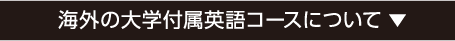 海外の大学付属英語コースについて