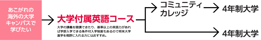 大学付属英語フロー