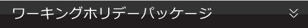 ワーキングホリデーパッケージ