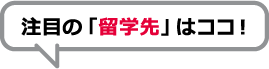 注目の留学先はここ！